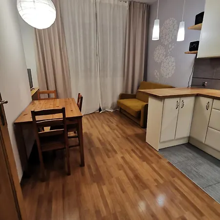 Cozy Spacious With Balcony 크라쿠프