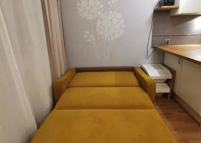 Cozy Spacious With Balcony 公寓 *