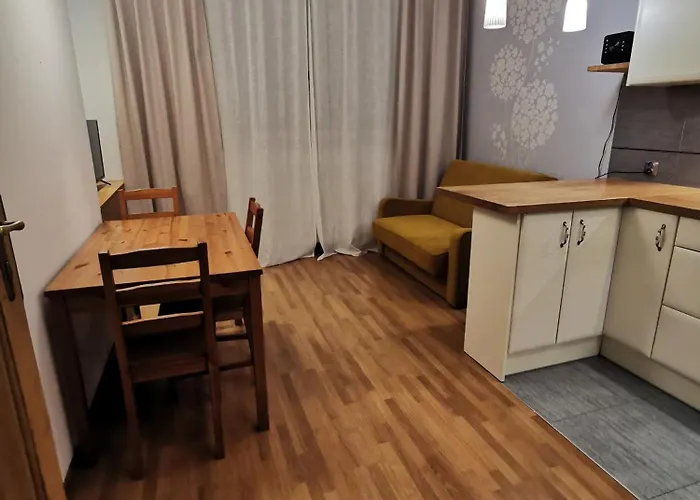 Cozy Spacious With Balcony 克拉科夫